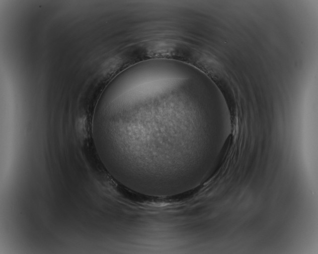 X0000086880224200704161229