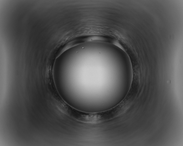 X0000086880225200704161229