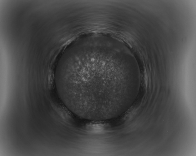 X0000086880228200704161229