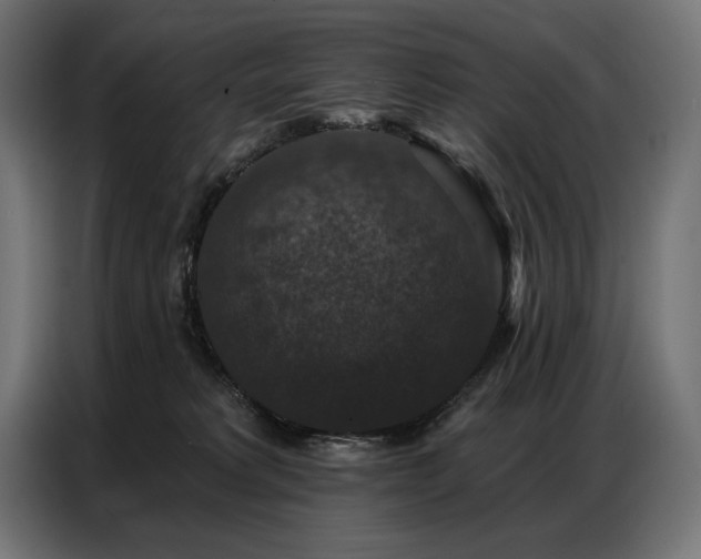 X0000086880229200704161229