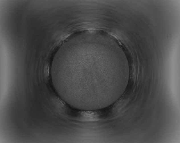 X0000086880230200704161229