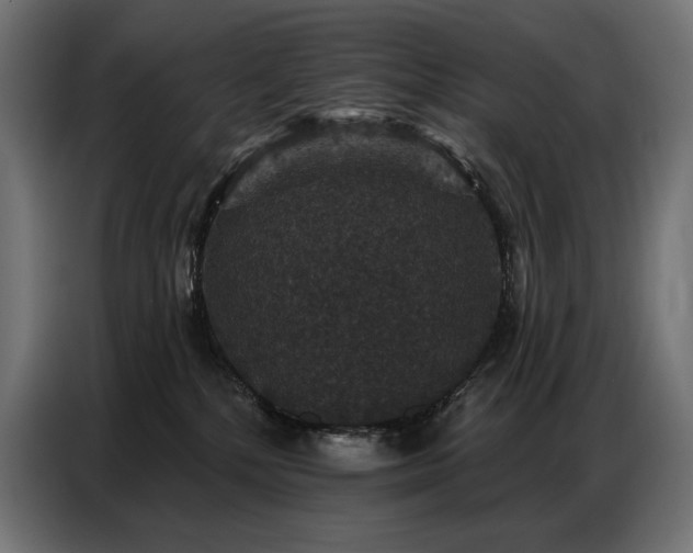 X0000086880232200704161229