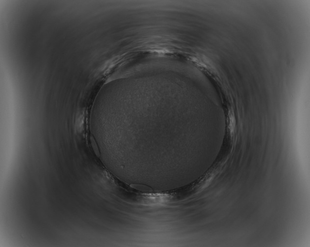 X0000086880233200704161229