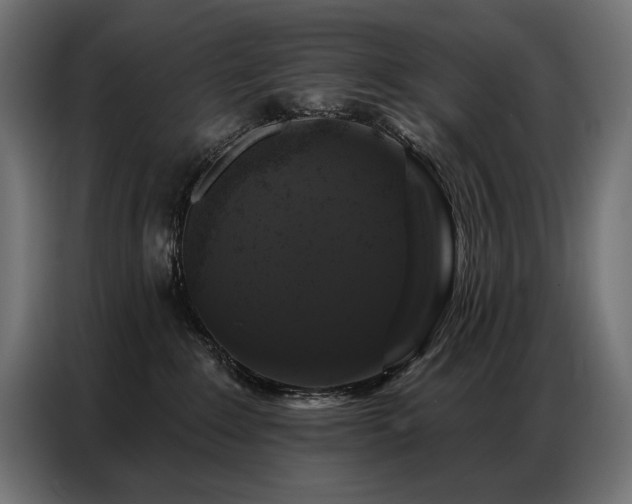 X0000086880235200704161229