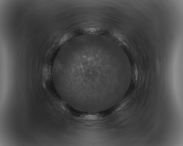 X0000086880236200704161229