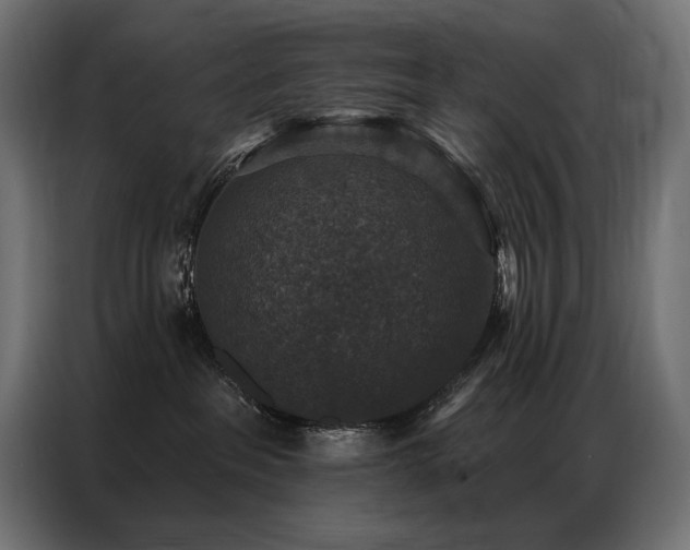 X0000086880237200704161229