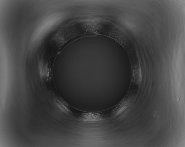 X0000086880239200704161229