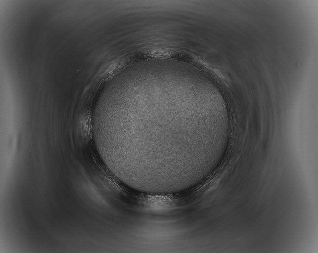 X0000086880240200704161229