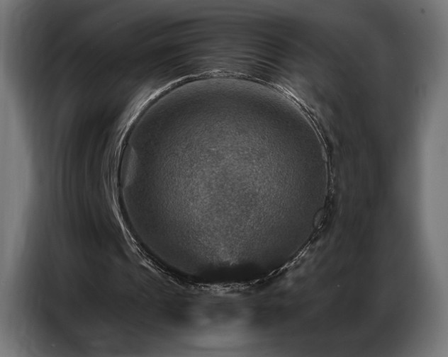 X0000086880241200704161228