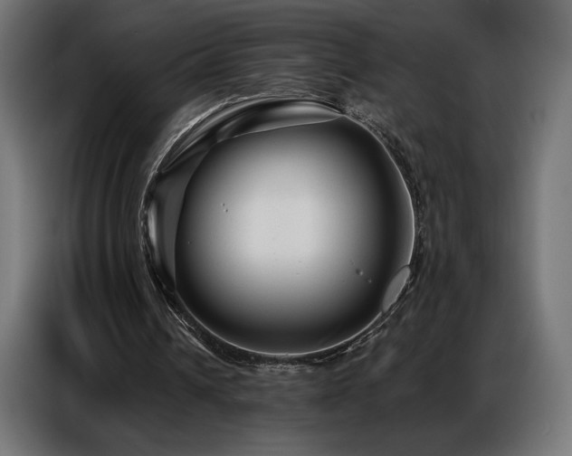 X0000086880242200704161228