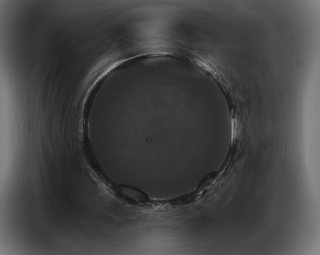 X0000086880243200704161228