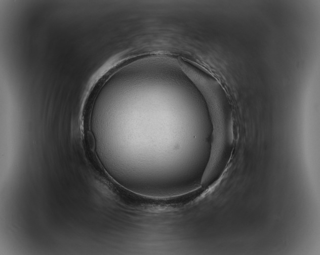 X0000086880246200704161228