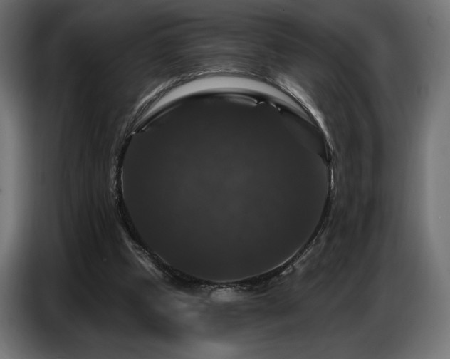 X0000086880249200704161228