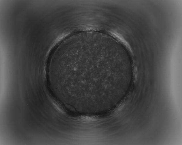 X0000086880250200704161228