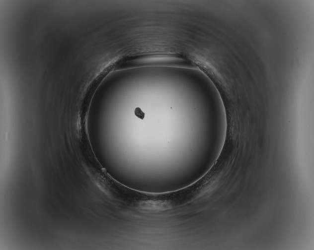 X0000086880251200704161228