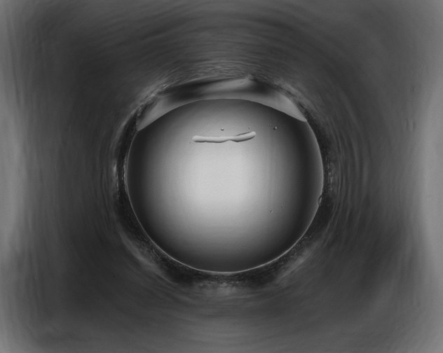 X0000086880254200704161228