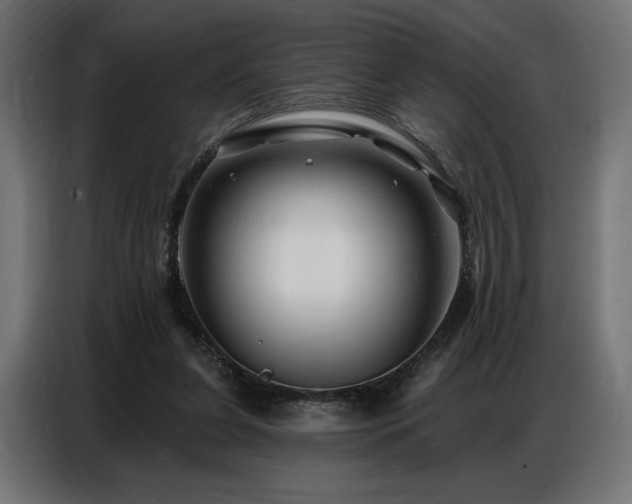 X0000086880255200704161228