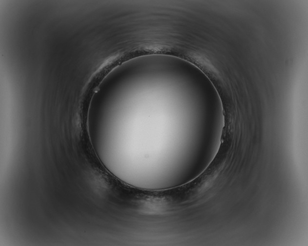 X0000086880256200704161228