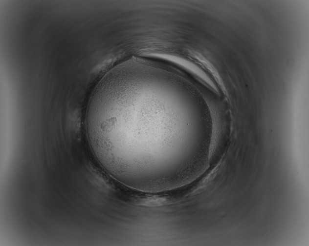 X0000086880257200704161228