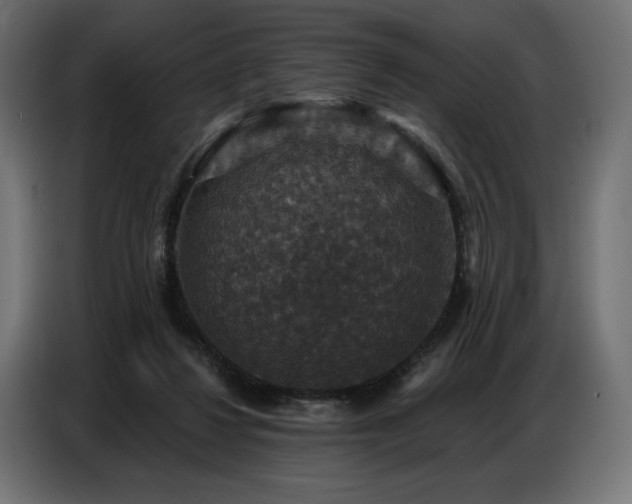 X0000086880260200704161228