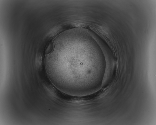 X0000086880263200704161228