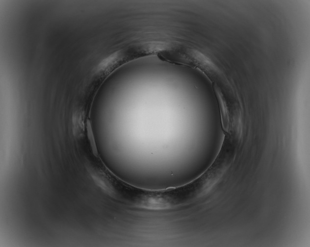 X0000086880264200704161228