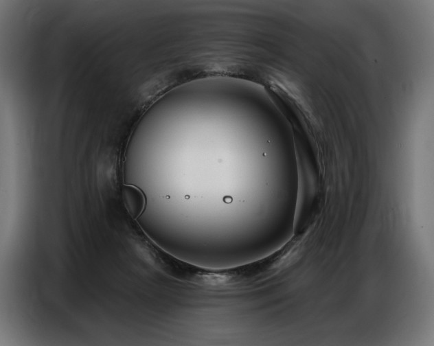 X0000086880265200704161228