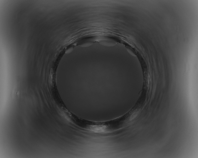 X0000086880266200704161228