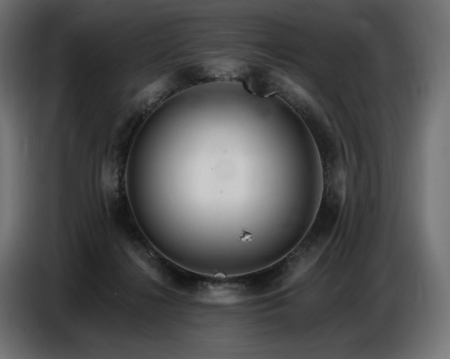 X0000086880268200704161228