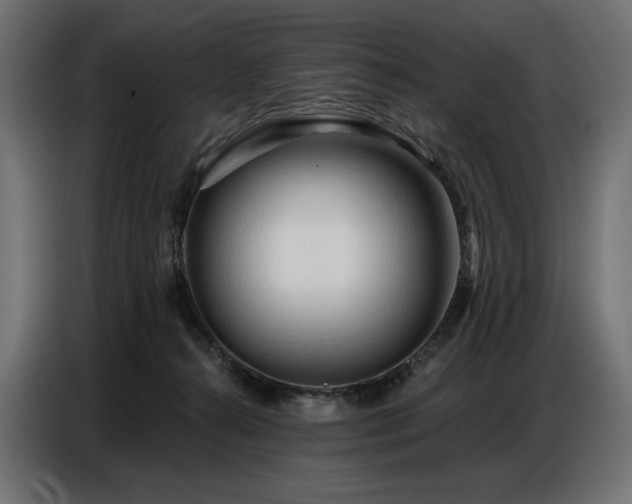 X0000086880272200704161228