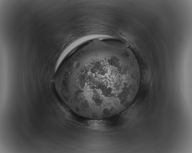 X0000086880273200704161228