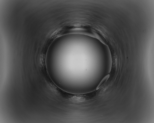 X0000086880280200704161229