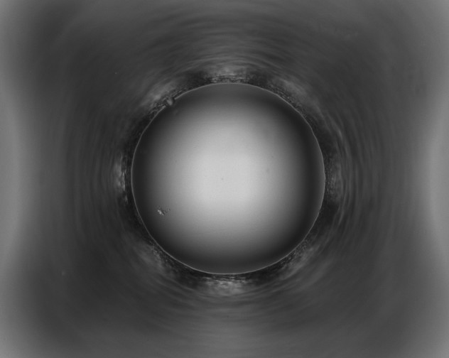 X0000086880282200704161229