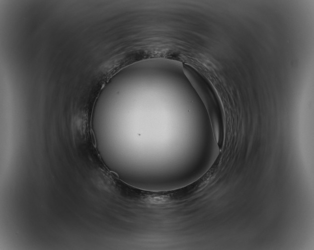 X0000086880283200704161229