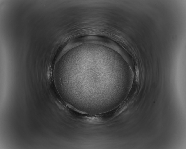 X0000086880284200704161229