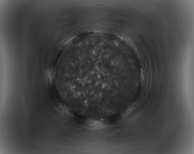 X0000086880285200704161229