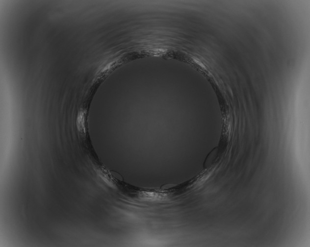 X0000086880286200704161229