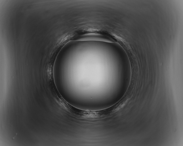 X0000086880288200704161229