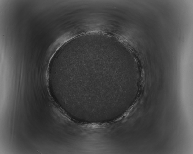 X0000086880290200704161228