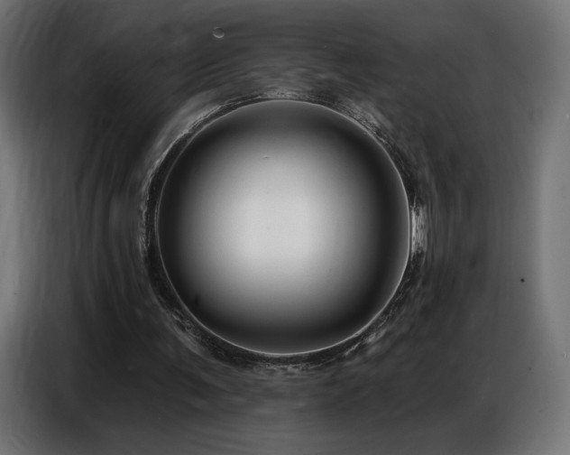 X0000086880291200704161228