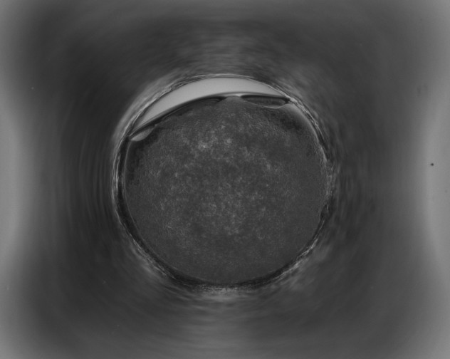 X0000086880293200704161228