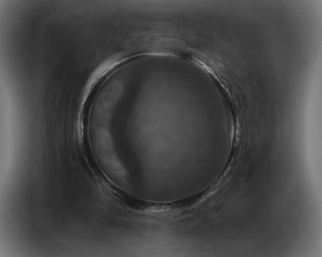 X0000086880294200704161228