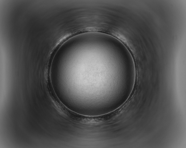 X0000086880297200704161228