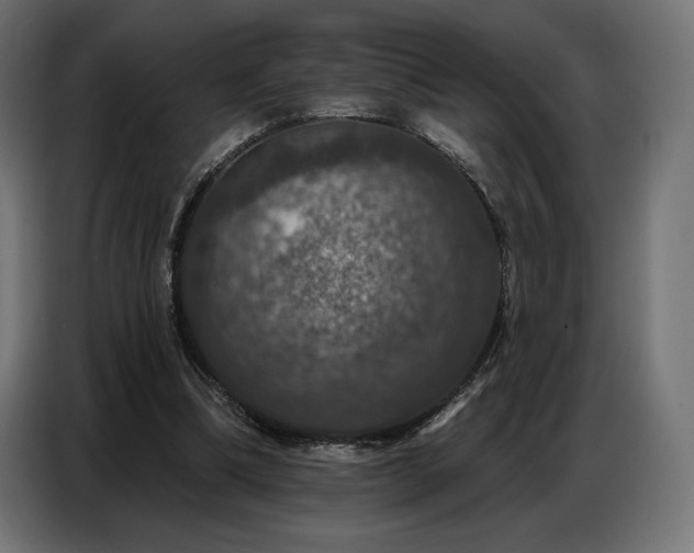 X0000086880298200704161228