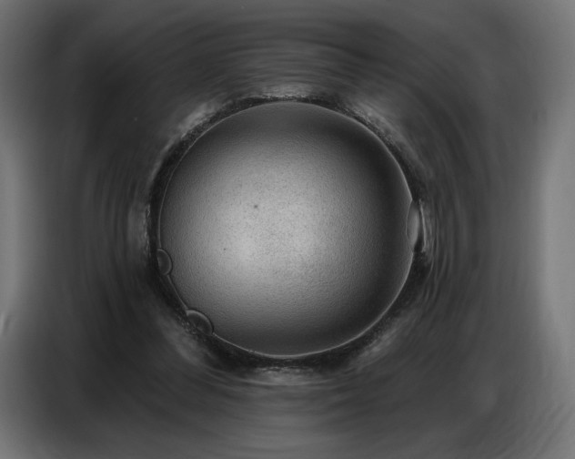 X0000086880300200704161228