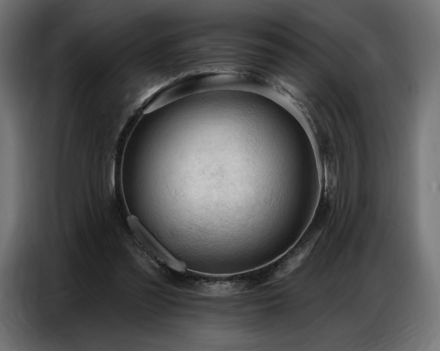 X0000086880301200704161228