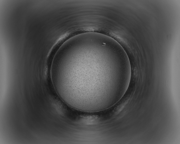 X0000086880304200704161228