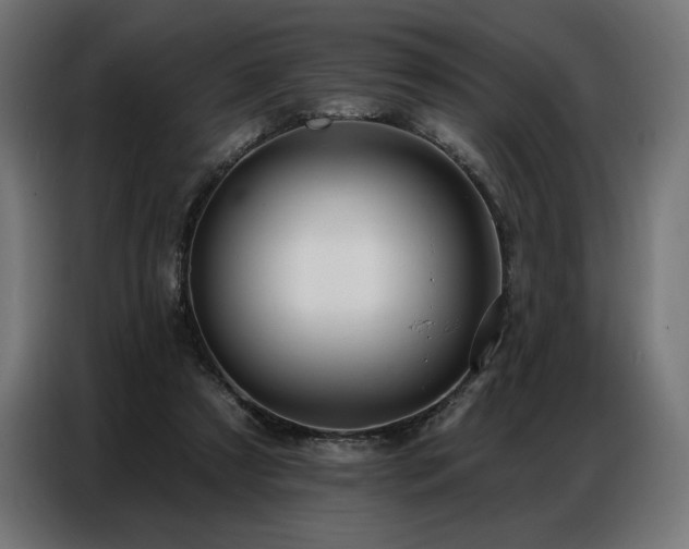 X0000086880305200704161228