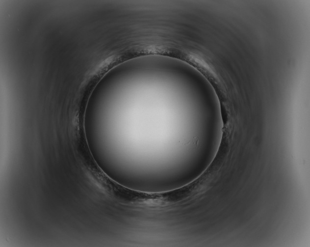 X0000086880306200704161228