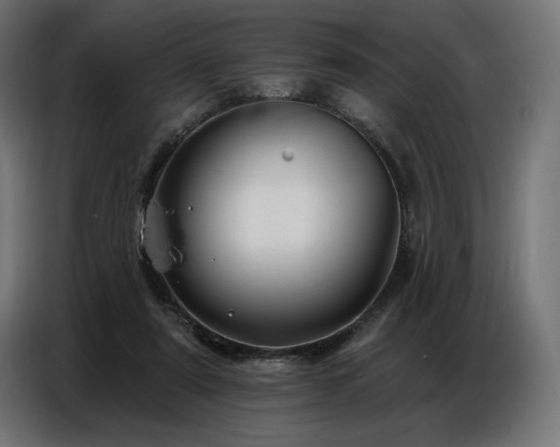 X0000086880307200704161227